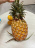 金钻凤梨17号海南新鲜水果无眼菠萝热带水果当季 净重4.5斤小果 单果400g起 实拍图