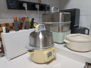 北鼎（Buydeem）电蒸锅 电煮锅电火锅 蒸锅电蒸锅小电锅蒸炖锅预约电炖锅多功能多用途锅蒸煮炖锅 G37黄+玻璃炖盅+汽锅 实拍图