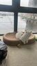 珍宠星球猫抓板窝剑麻猫抓板麻布猫抓盆不掉屑猫窝宠物猫玩具猫爪板 实拍图