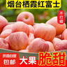 山东烟台红富士苹果正宗栖霞苹果冰糖心水果新鲜当季苹果 老客户爱买带箱8斤果王 实拍图