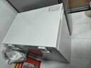 日普（RIPU）小冰柜家用小型一级能效 冷藏柜冷冻柜两用冰柜小型租房家用小冰箱小型冷柜 118升【一级能效 升级减霜95%】 118L 实拍图