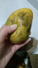 柏馋海南小台农芒果新鲜现摘小台芒应当季热带水果南方特产甜心熟芒果 3斤 净重2.5-2.8斤 小果单果50-70g 实拍图