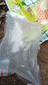 草鱼鱼苗活体淡水养殖食用吃草皖半斤一斤鱼苗批发活体脆皖鱼草混子 可吃草8-10cm草鱼苗5条（加送10%路损） 实拍图