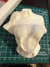 拓竹3D打印耗材PLA Basic基础色高韧性易打印环保线材RFID智能参数识别-净重1kg bambulab 玉石白10100 含料盘 实拍图