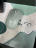 罗技（Logitech）M221 轻音鼠标 无线鼠标 办公鼠标 对称鼠标 带无线微型接收器 薄荷绿 实拍图
