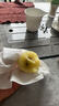 佳沛（zespri）新西兰 阳光金奇异果12粒礼盒特大果单果约122-146g 猕猴桃 水果 实拍图