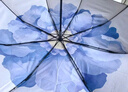 蕉下（beneunder）防紫外线遮阳伞三折双层黑胶晴雨伞防晒伞BM664蓝铃 实拍图