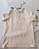 Navigare意大利小帆船男士POLO衫25春夏季接触凉感体恤衫舒适亲肤上衣男 古巴砂 XL 实拍图
