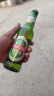 青岛啤酒（TsingTao）经典啤酒 316ml*24瓶 整箱装 端午节送礼 实拍图
