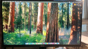 海信27英寸 4K超清 广色域 HDR400 Type-C 适配Mac 旋转升降 IPS 电脑显示屏 显示器 27N5H 国家补贴 实拍图