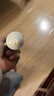 红双喜DHS 无机胶水乒乓球拍胶皮打底用水溶性粘合剂 50ML 实拍图