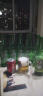 喜力经典500ml*12瓶整箱装 喜力啤酒Heineken 实拍图