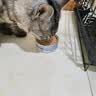 玫斯（metz）云朵主食罐宠物猫粮猫零食  美毛猫粮零食罐头布偶白猫粮罐 鸡肉配方 85g*4罐 实拍图