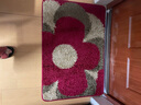 宝丽彩门口入户地垫脚垫家用卫生间防滑吸水门垫进门地板垫升级加厚门垫 大红花 60*90cm 实拍图
