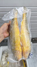 三都港 冷冻宁德大黄鱼700g/2条装 黄花鱼 生鲜鱼类 深海鱼 烧烤 实拍图