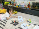 乐高（LEGO）积木拼装31165 野生动物熊猫家族男孩女孩儿童玩具生日礼物 实拍图