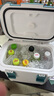 ICERS艾森斯15L专业保温箱PU医用抗菌冷藏箱户外保热车载冰箱带温显 实拍图