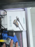 绿联USB转RS232串口线 USB转DB9针公头转接线 支持考勤机收银机标签打印机线com口调试线 1米20210 实拍图