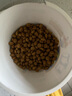 皇家绝育成猫粮 SA37通用粮1-7岁4.5KG 实拍图