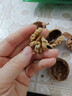 楼兰蜜语【京觅专供】新疆新二薄皮核桃2500g原味核桃纸皮送礼盒坚果零食 实拍图