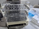 九阳（Joyoung）电蒸锅24L三层大容量家用多功能电蒸箱蒸螃蟹多用途蒸锅全透明视窗不锈钢蒸片GZ578【九阳漫生活】 实拍图