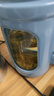 乐品乐茶茶叶绿茶特级毛尖2025新茶明前春茶嫩芽冷泡茶解暑250g送礼品袋 实拍图