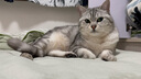 麦富迪猫粮 超肉粒冻干双拼成猫粮美毛护肠胃 三文鱼2kg 实拍图