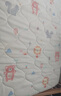 BEYONDHOME BABY博洋母婴全棉床垫幼儿园床垫子宝宝午睡垫被褥子狮子王国60*135cm 实拍图