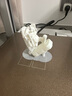 拓竹3D打印耗材PLA Basic基础色高韧性易打印环保线材RFID智能参数识别-净重1kg bambulab 玉石白10100 含料盘 实拍图