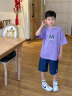 巴帝巴帝男童夏装套装2024新款洋气中大童夏季短袖t恤酷帅男孩衣服两件套 紫色 120cm 实拍图