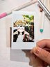 富士FUJIFILM instax立拍立得相机 3英寸相纸胶片胶卷 3寸双包+心心相吸相框【20张白边】 官方标配 实拍图