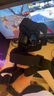 TELESIN(泰迅)适配大疆action5pro 4 3骑行胸带运动相机gopro12 13滑雪胸前固定insta360摩托车支架 实拍图