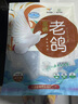 硒全食美富硒老鸽 净重400g/只 冷冻 供港鸽子生鲜冷链 煲汤优选卤煮食材 实拍图