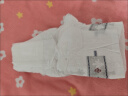 babycare【品牌直供 安心品质】皇室狮子王国纸尿裤XL36片婴儿尿不湿弱酸 实拍图