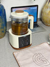 格丽思（GREENIS）煮茶壶养生壶 纯钛喷淋式加热煮茶器一体式烧水壶蒸茶壶 办公室蒸茶器茶水分离 电茶壶围炉煮茶 椰奶白礼盒装（纯钛壶底-单直筒茶漏） 实拍图