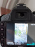 尼康\/Nikon D3200 D3400 D5300 D5600二手单反相机入门级半画幅高清旅游 尼康D3500 尼康18-140VR防抖镜头【日常风景】 99成新 实拍图