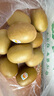 佳沛（zespri）新西兰  阳光金奇异果10粒礼盒巨大果单果约144-175g 水果 猕猴桃 实拍图