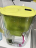 倍世（BWT）净水壶滤水壶净水器家用 欧洲去水垢滤芯 益家4.2L大容量 过滤水壶 厨房客厅通用 【去水垢-加强版】1壶12芯 实拍图