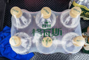 秋林格瓦斯 格瓦斯 俄罗斯风味 面包发酵饮料 1.5L*6瓶 整箱装 实拍图