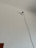 普联（TP-LINK）无线高清监控摄像头360度全景旋转云台家庭用室内智能网络摄像机安防视像头手机远程监视器 300万全彩云台【标准版】 无内存【不含内存卡】 实拍图