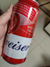 百威啤酒TOP淡色拉格450ml*18听整箱装新老包装交替发货  实拍图
