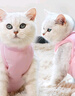 欢宠网宠物猫咪绝育服猫手术服母猫衣服断奶术后恢复幼小猫猫透气防舔衣 实拍图