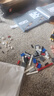 乐高（LEGO）积木10318 协和式飞机 旗舰限定款 生日礼物 实拍图