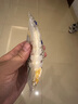 豪士面包乳酸菌850g 酸奶夹心小口袋早餐面包休闲零食礼盒送礼团购 实拍图