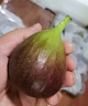 壹萌果蔬云南红皮无花果【JD顺丰多地次日达】新鲜无花果鲜果水果当季现摘 精选2斤S+精品大果【单果40g+】 实拍图