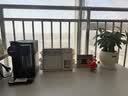 德龙（Delonghi）【平台补贴】原装进口德龙NespressoLattissimaOne系列进口雀巢胶囊咖啡机全自动EN510.B黑色 实拍图