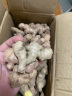 京东买菜云南小黄姜新鲜生姜子自营生鲜姜月子姜超市蔬菜调料姜 5斤装 2500g 实拍图