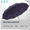 天堂 全自动雨伞三折 10骨加固一键开收易甩干简约晴雨伞 紫兰 实拍图