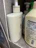 阿道夫茶树精油男士洗发水450ml 去屑止痒洗发露 清爽留香男士专用 实拍图
