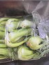 上海青（油菜）约500g 实拍图